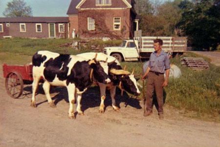 Melvin escorting pair of oxen in yoke pulling cart